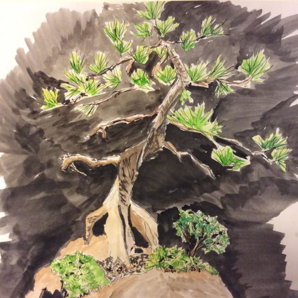 Bonsai 01 (Watercolor & Ink)